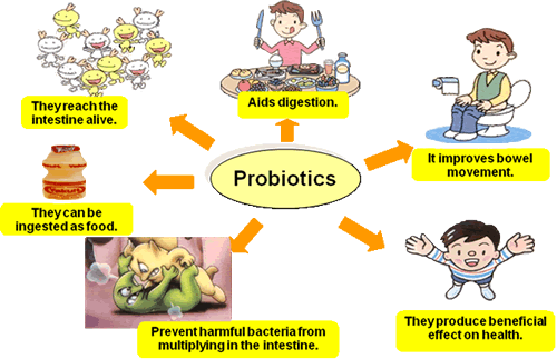 requirements_for_probiotics.gif requirements_for_probiotics.gif