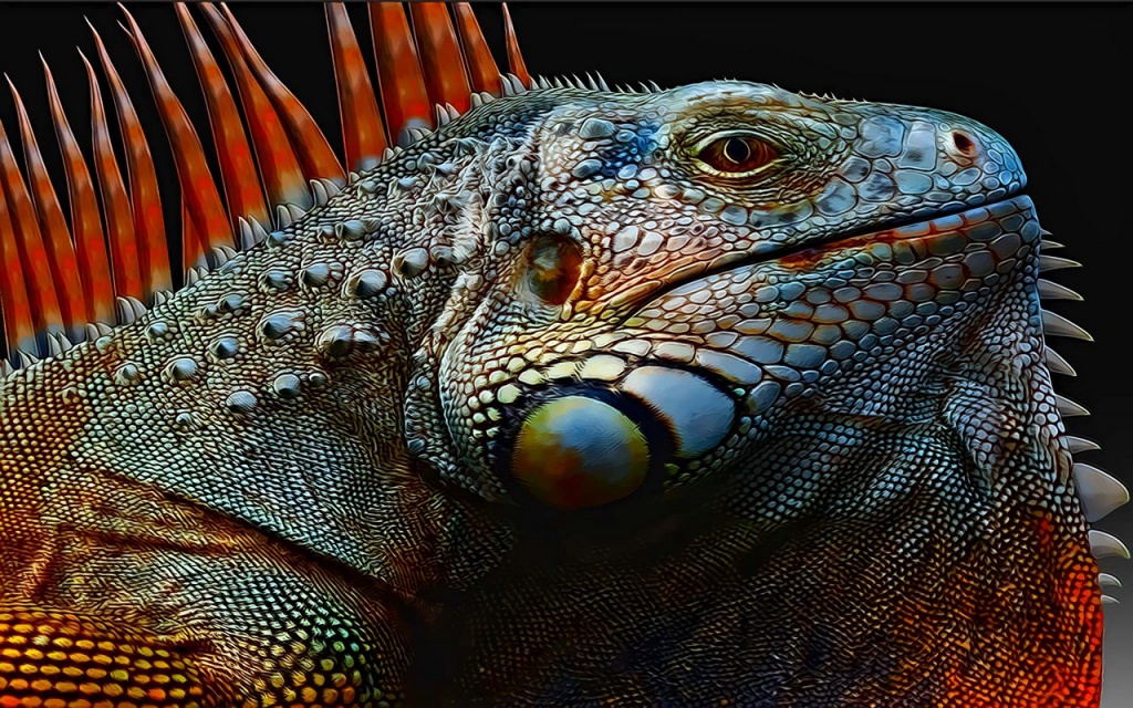 0_d21b9_501cdeea_orig.jpg 0_d21b9_501cdeea_orig.jpg