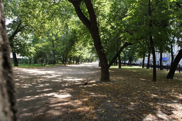 DSC00207