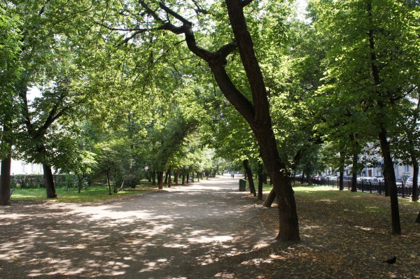 DSC00208