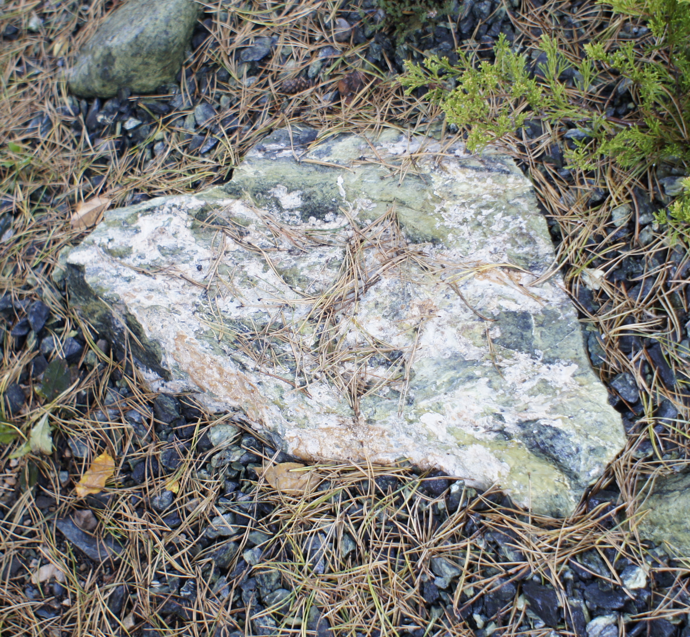 _DSC0469